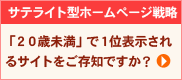 サテライト型ホームページ戦略